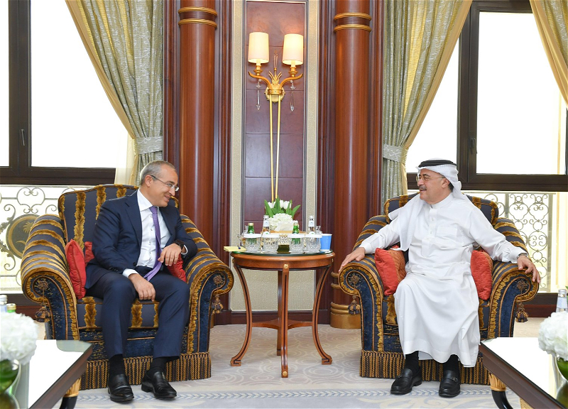 Азербайджан и Саудовская Аравия обсудили возможности совместной деятельности в энергетическом секторе - ФОТО