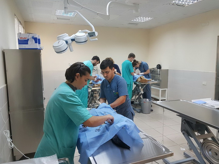 ����: 1news.az