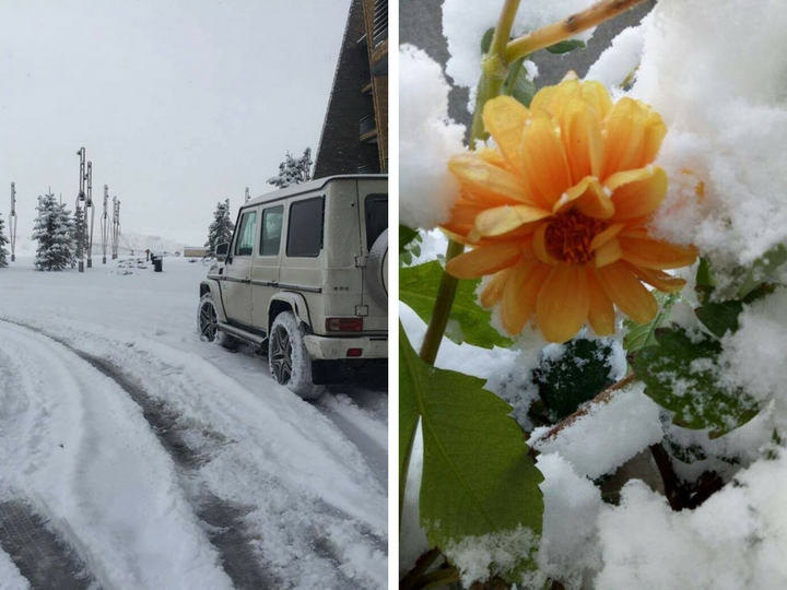 А вот и первый снег. Сказочный день в Гусаре – ФОТО - ВИДЕО