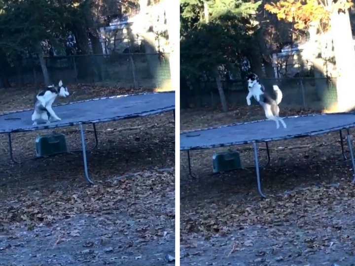  ������������ �������� ������� ����� ��� ����� 