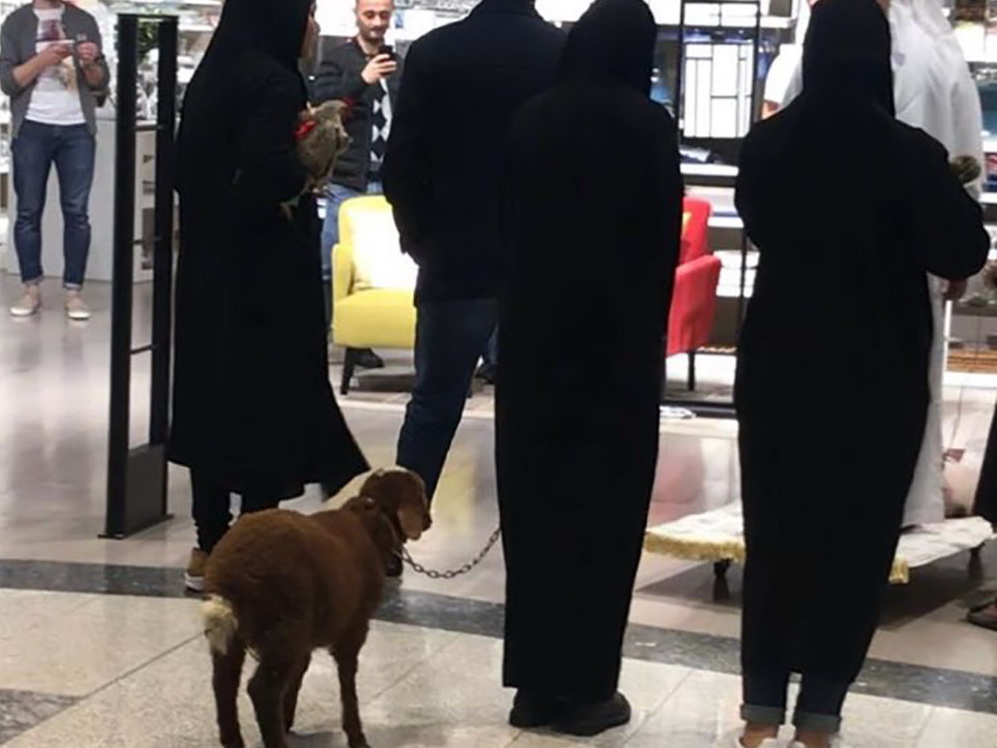 Курьез: Арабские туристы пришли в бакинский торговый центр с бараном и курицей – ФОТО