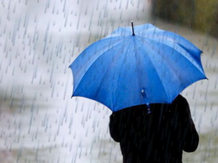  ������� ���� �������� ��������� ����� 