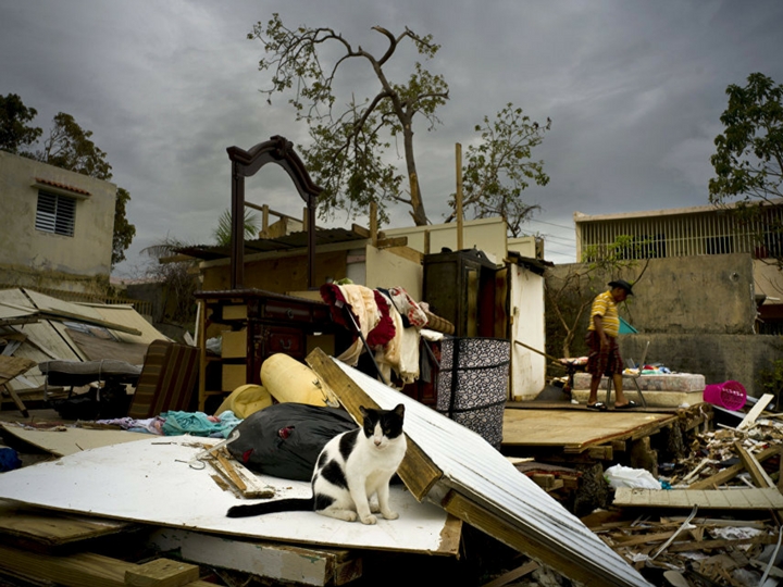 В Пуэрто-Рико число жертв последствий урагана «Мария» достигло 64