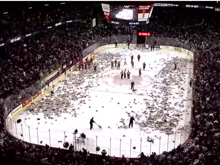 Канадские фанаты забросали хоккеистов 24 тысячами плюшевых медведей - ВИДЕО