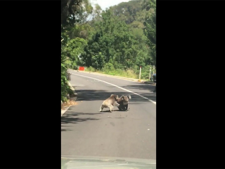  ����� ���� ������� ����� ������ ����� 