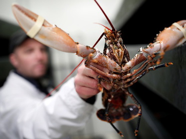 ����: 1news.az