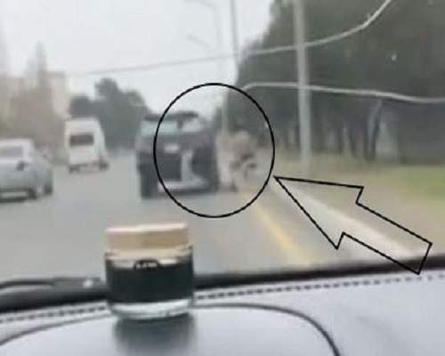  ���� ���������� �������� ������ lexus ����� 