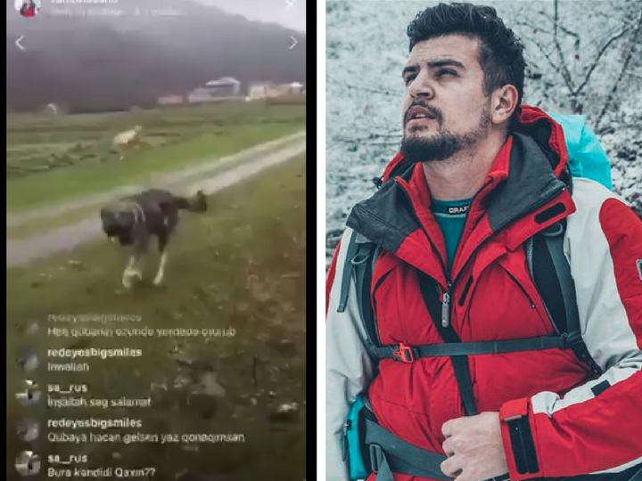 В Азербайджане фотограф вступил в схватку с собаками, случайно зайдя на ферму с включенным «прямым эфиром» - ВИДЕО