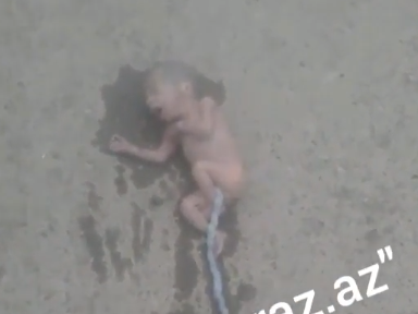 В Азербайджане посреди дороги бросили новорожденную девочку – ВИДЕО