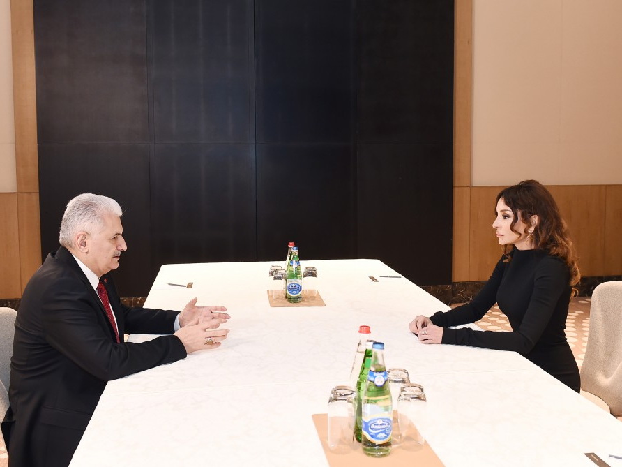 Мехрибан Алиева встретилась с премьер-министром Турции - ФОТО
