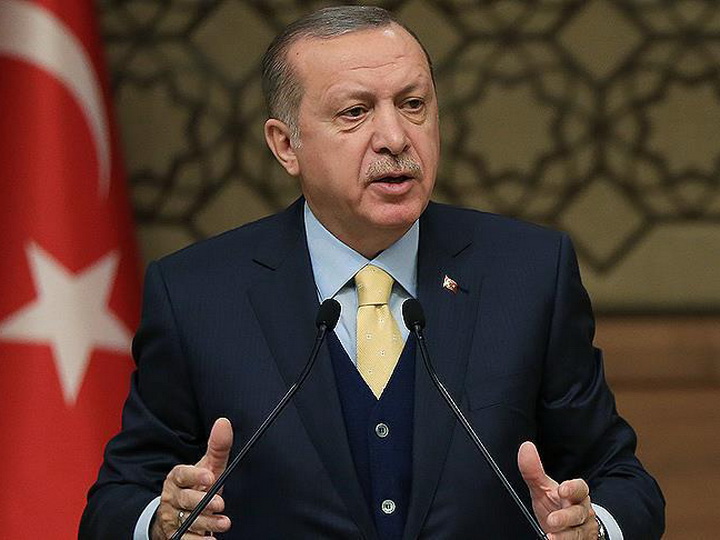 Эрдоган объявил о проведении в Турции внеочередных выборов