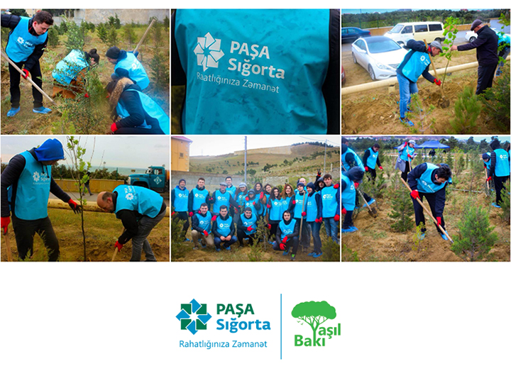 Компания PASHA Insurance провела акцию по посадке деревьев в честь Дня Земли - ФОТО