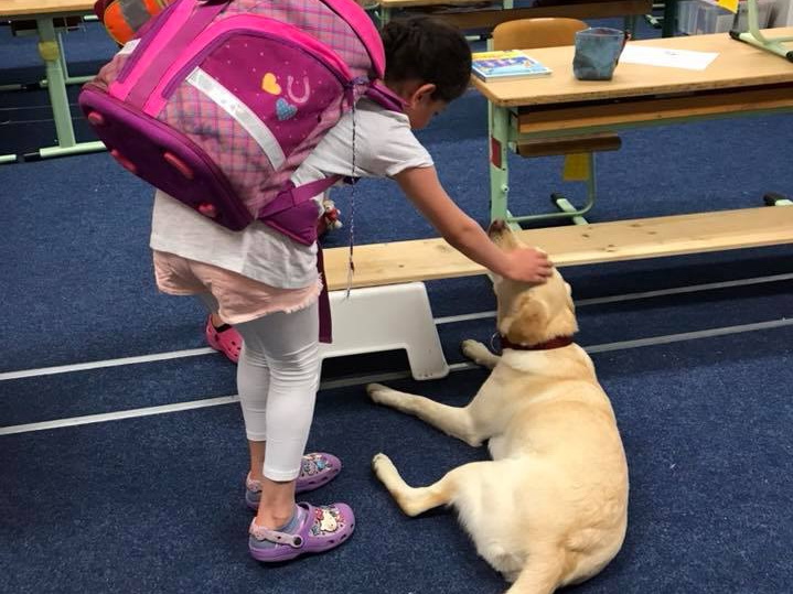 Собака в школе: новый способ помочь детям полюбить чтение и научиться заботе - ФОТО