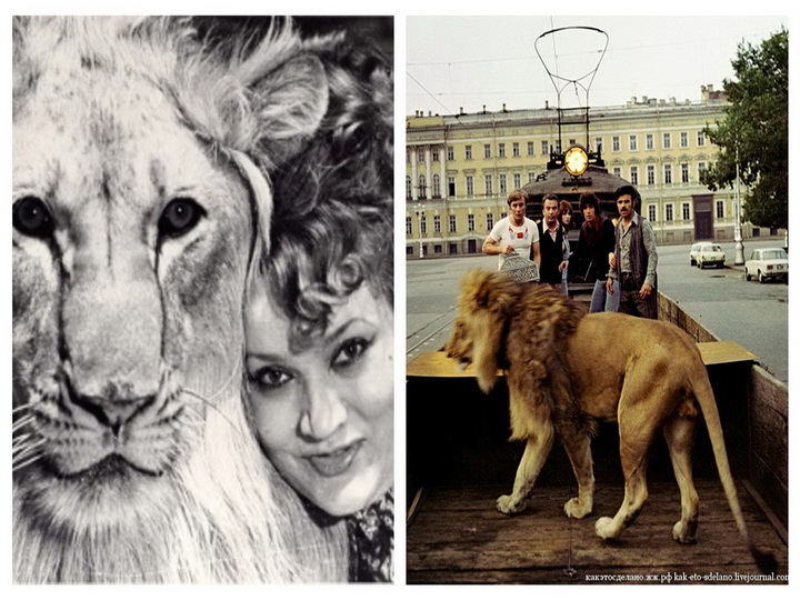 В Баку скончалась хозяйка льва, снявшегося в фильме «Невероятные приключения итальянцев в России» - ФОТО – ВИДЕО