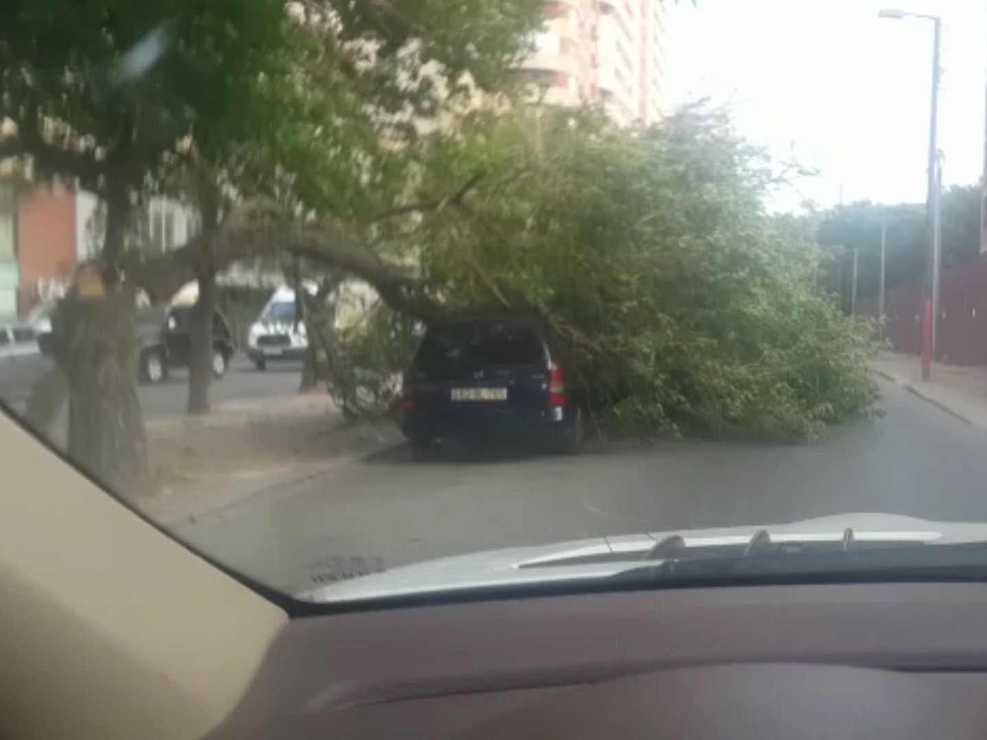 Сильный ветер в Баку вызвал ряд негативных последствий - ВИДЕО