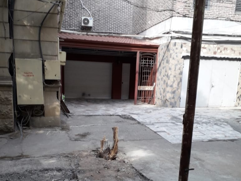 В Баку благодаря неравнодушным гражданам оштрафован мужчина, срубивший дерево - ФОТО