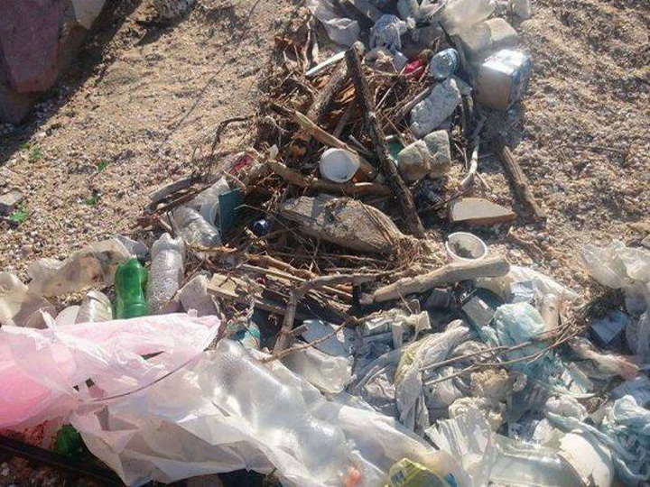 За кучи мусора на пляжах Абшерона оштрафованы владельцы центров отдыха