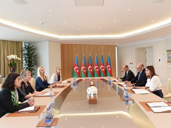 Мехрибан Алиева встретилась с делегацией во главе с первым заместителем генерального секретаря НАТО - ФОТО