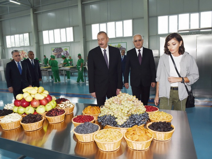 Президент Ильхам Алиев принял участие в открытии завода по производству сельскохозяйственной продукции ООО «Губаэкоаграр» - ФОТО