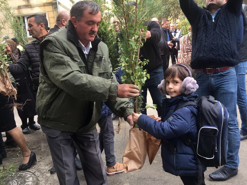 «Каждая семья посадит по дереву»  – в Азербайджане проходит акция Минэкологии – ФОТО