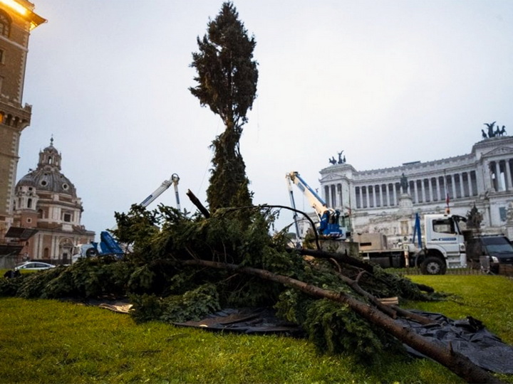 Итальянцы расстроились из-за уродливой рождественской елки в центре Рима