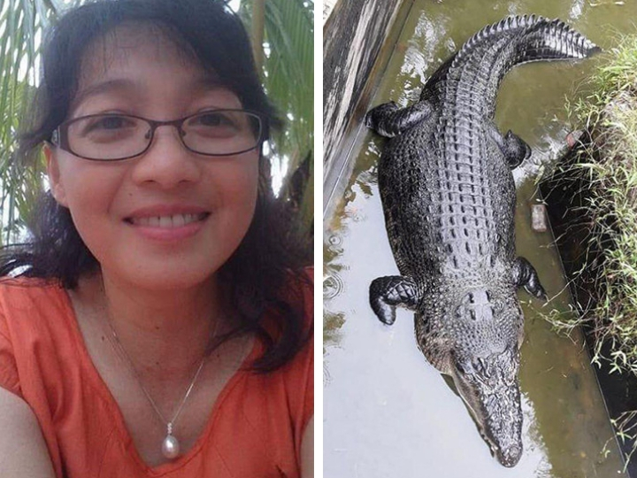 Крокодил заживо съел женщину-биолога, когда та пыталась его покормить в вольере - ФОТО