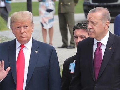 Эрдоган и Трамп договорились о совместных шагах в Сирии