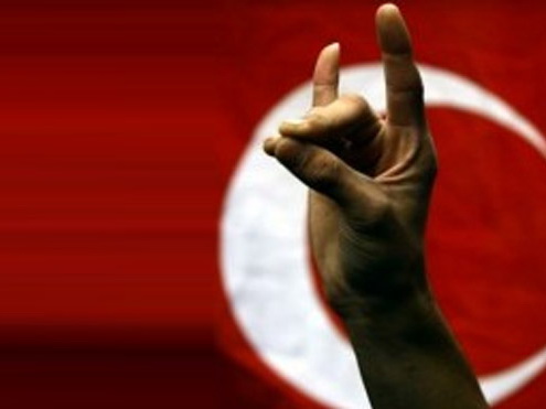 Анкара осудила введенный в Австрии запрет на использование символики «Серый волк»