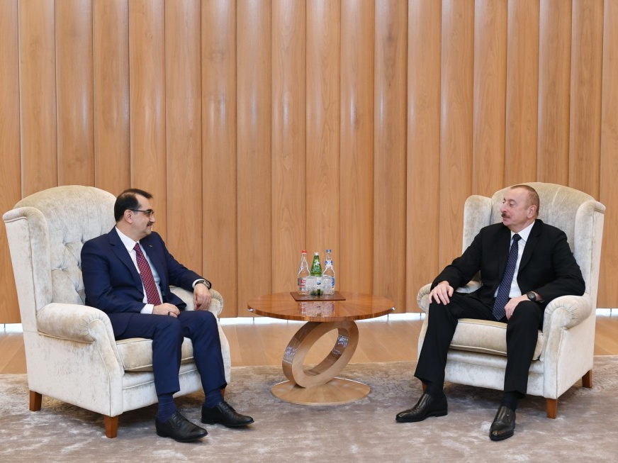 Президент Ильхам Алиев встретился с министром энергетики Турции - ФОТО