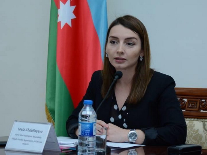 Лейла Абдуллаева: Территориальная целостность Азербайджана никогда не была предметом обсуждений