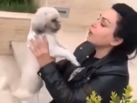 «Sənə qurban olum, Риччи!» Эмоциональное воссоединение хозяйки с украденной собакой в Баку – ВИДЕО