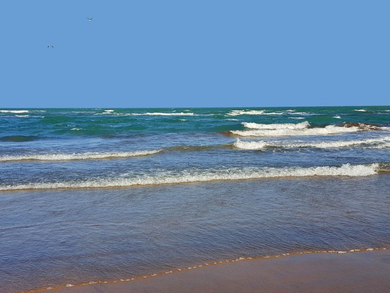 МЭПР: Пляжи Набрани непригодны для купания