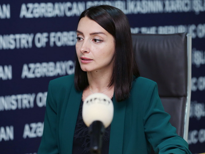 Лейла Абдуллаева: Слова руководства Армении о мире и урегулировании конфликта вызывают сомнение