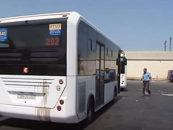 В Баку подрались водители автобусов – ВИДЕО