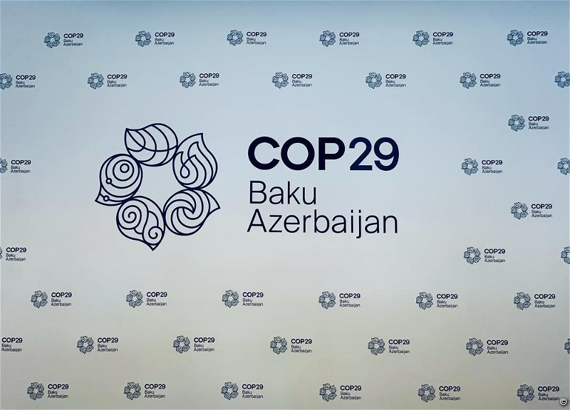 Представлен логотип COP29 - ФОТО