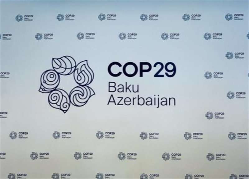 COP29-un loqosu təqdim olunub