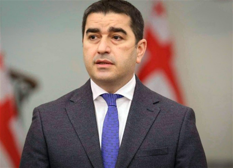 Спикер парламента Грузии обвинил иностранных послов во вмешательстве во внутренние дела