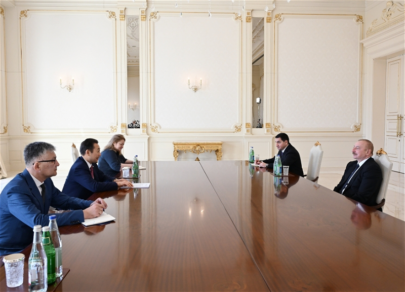 Президент Азербайджана принял генсека СВМДА