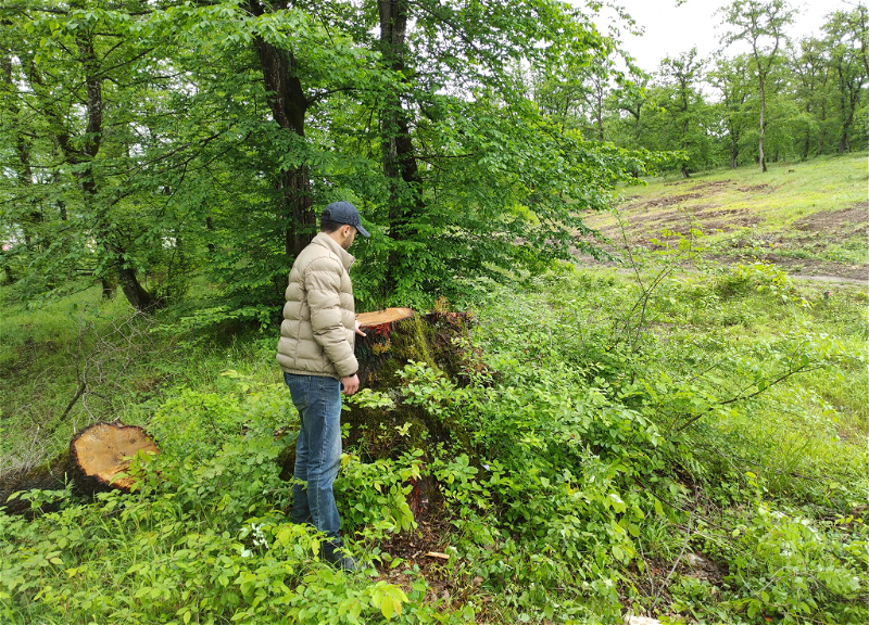 МВД остановило строительные работы в лесу в Гусаре – ФОТО – ОБНОВЛЕНО