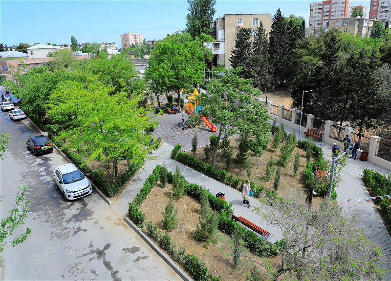 В Низаминском районе Баку благоустроен и передан в пользование жителей очередной парк - ФОТО