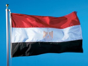 Президентские выборы в Египте пройдут до 19 апреля