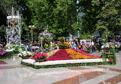 Праздник цветов в Баку - ФОТОРЕПОРТАЖ