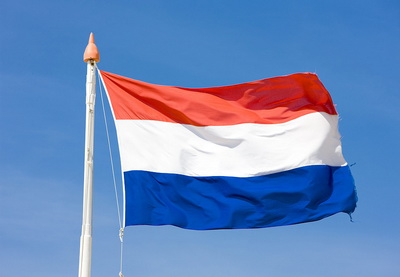 Нидерланды сообщили Пентагону о проблемах с доступом к месту крушения малайзийского Boeing