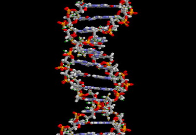 Британия запустила масштабный проект по расшифровке ДНК
