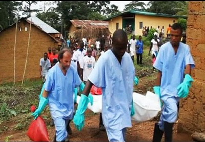 В Африке 70 человек стали жертвами заболевания, похожего на Эболу