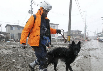 Число пострадавших при землетрясении в Японии достигло 23 человек
