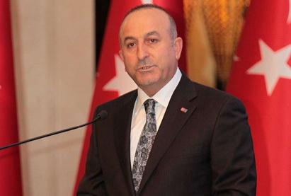 Министр: «600 граждан Турции воюют на стороне ИГИЛ, более 100 погибли»