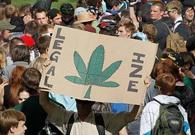 Соседи штата Колорадо обжалуют в суде легализацию марихуаны