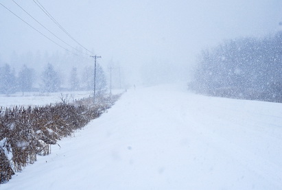 На востоке США и Канады начался снежный шторм