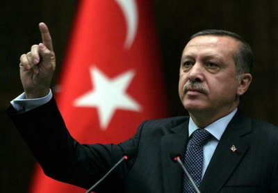 Президент Турции раскритиковал австрийский «Закон об исламе»